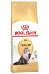 FBN PERSIAN 2K